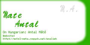 mate antal business card