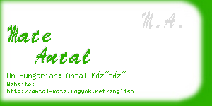 mate antal business card